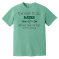 seafoam Aries T Shirt To Embrace Your Contrary Side