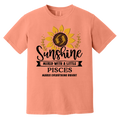 terracotta Pisces T Shirt