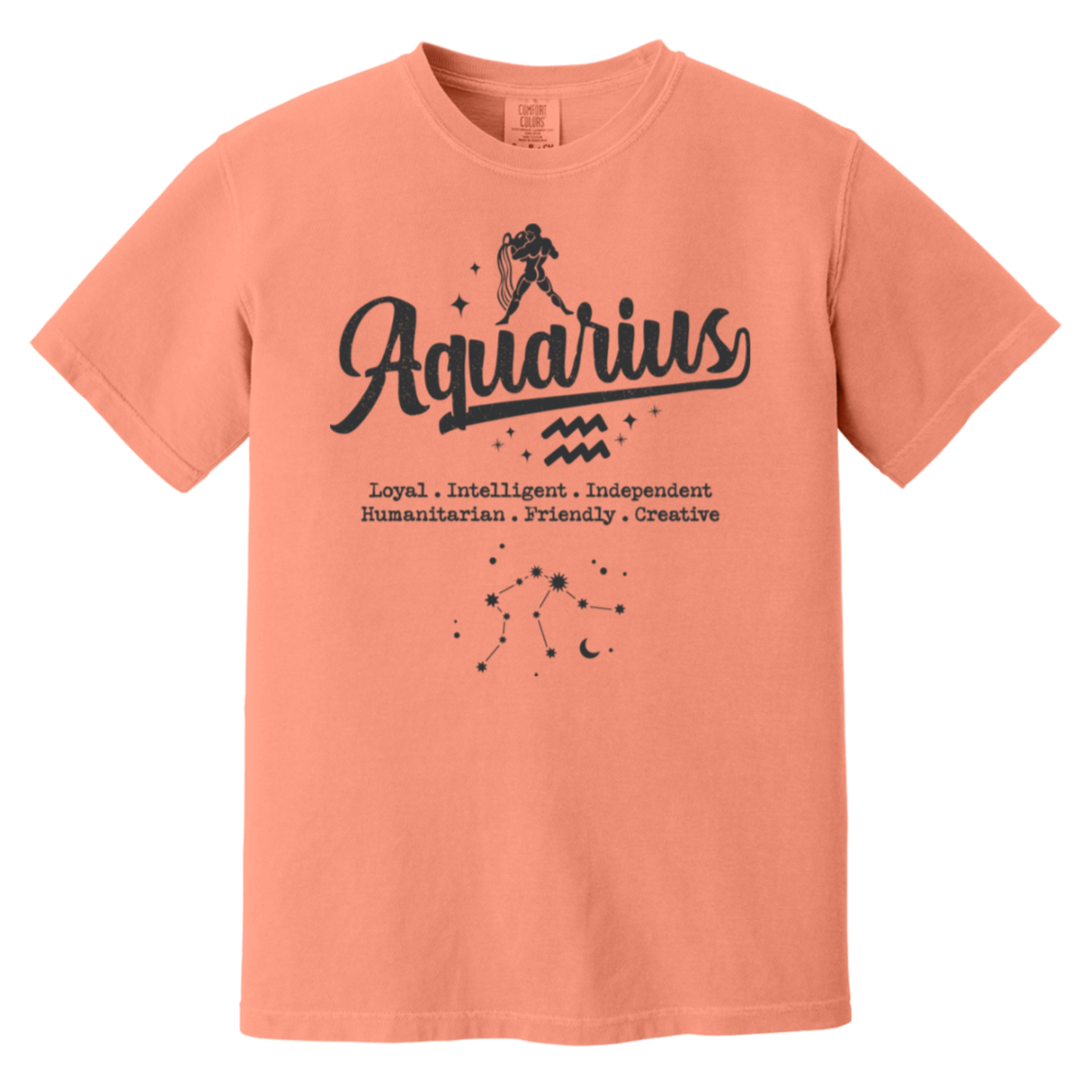 terracotta Aquarius Traits Signature Tee