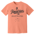 terracotta Aquarius Traits Signature Tee