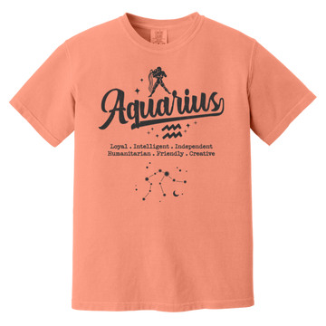 terracotta Aquarius Traits Signature Tee