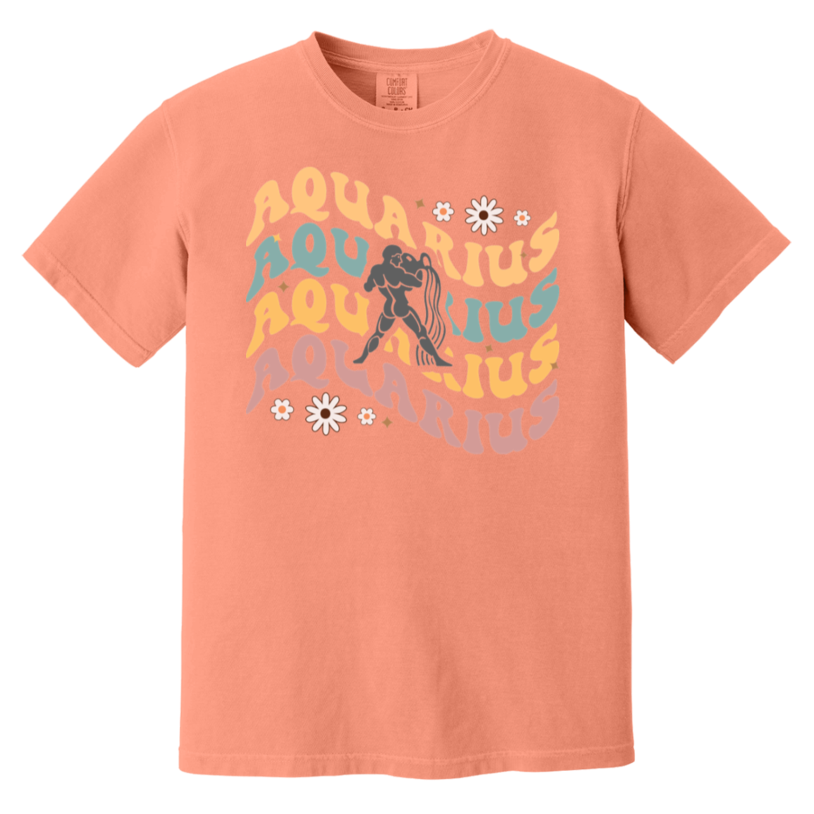 Terracotta Zodiac Aquarius Sign "Retro Rhapsody Tee"