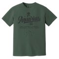 blue spruce Aquarius Traits Signature Tee