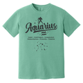 seafoam Aquarius Traits Signature Tee