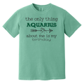 seafoam Aquarius T Shirt 