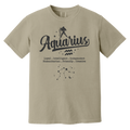 sandstone Aquarius Traits Signature Tee