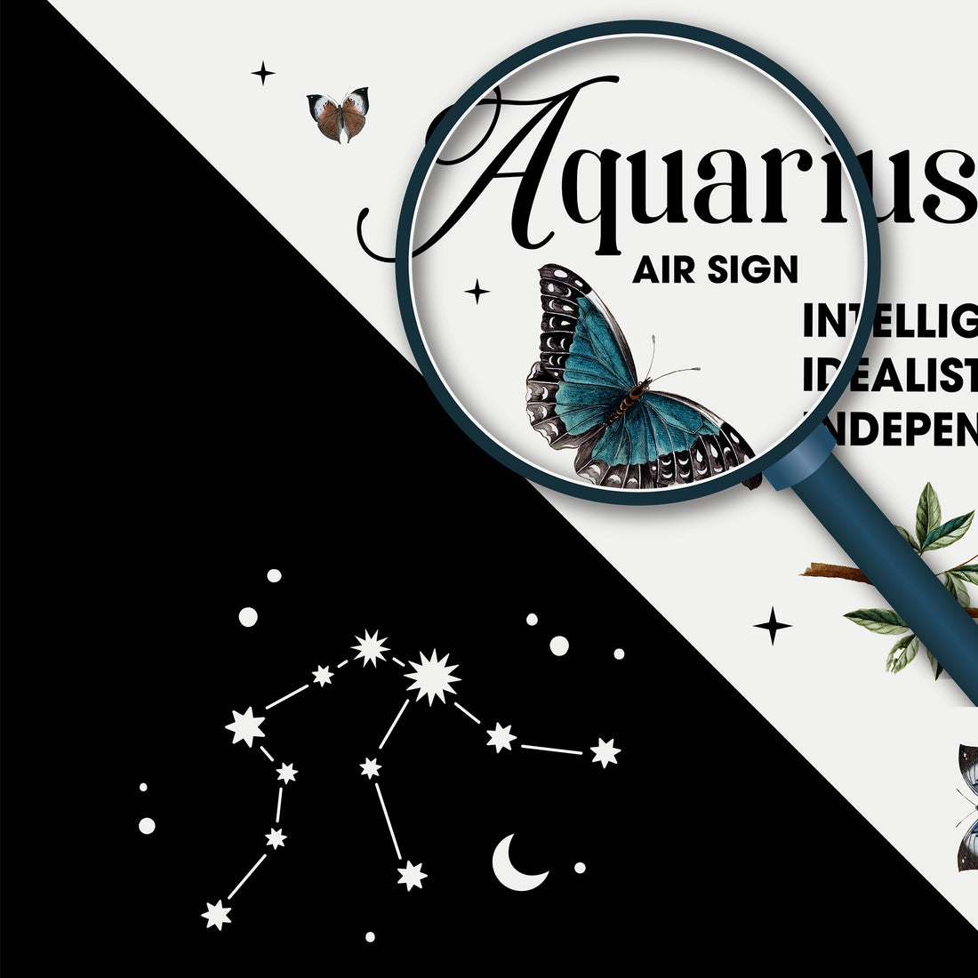 Aquarius Zodiac Black And White Throw Pillow size 26x26